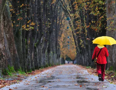 Prognoza meteo 1 decembrie 2023. Se încălzește vremea. Unde vor fi cele mai ridicate temperaturi