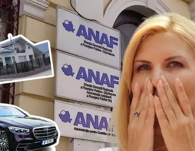 ANAF organizează a treia licitație pentru a valorifica bunurile confiscate Elenei Udrea, pentru acoperirea prejudiciului din dosarul Gala Bute