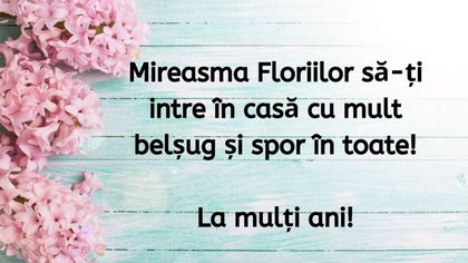 UrÄƒri Romania Tv