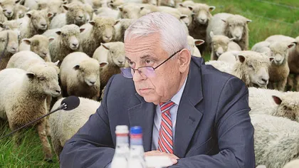 Petre Daea, după protestul oierilor: „Eu nu critic oaia seara și dimineața îi mănânc brânza”