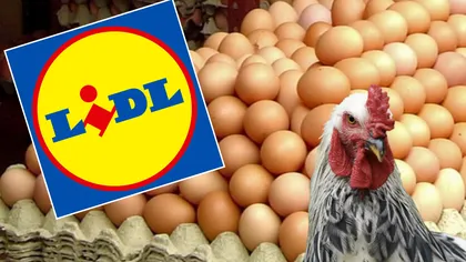 Adevărul despre ouăle din Lidl. De unde provin, de fapt, și ce însemnă codurile 0, 1 și 2. Este obligatoriu să citești mereu eticheta