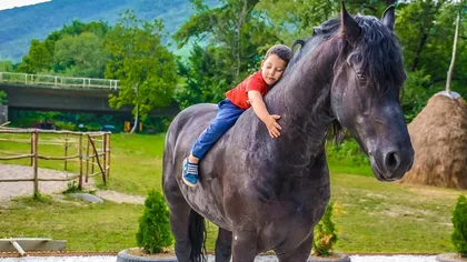 Călărie 2024. Unde pot iubitorii de cai să se bucure de ore și cursuri de echitație în apropierea Bucureștiului. Tarifele nu sunt pentru orice buzunar