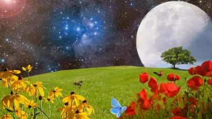 Luna Plină a Florilor în Săgetător, 23 mai 2024. Ce căi ne deschide Universul odată cu ultima Lună plină a primăverii?