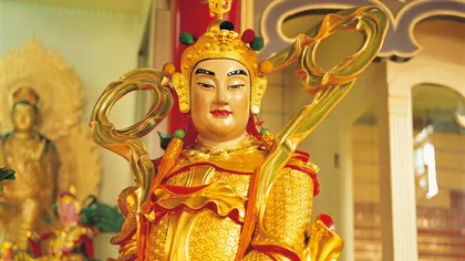 3 ZODII CHINEZEȘTI care atrag SUCCESUL FINANCIAR în săptămâna 24-30 martie 2025. Culoarea verde atrage belşugul şi karma pozitivă
