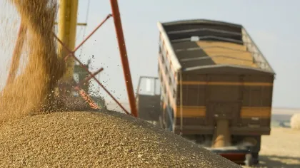 Exporturile de cereale ale UE, în scădere puternică. România a fost cel mai mare exportator
