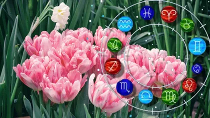 Horoscop 25 martie 2025. Orice incursiune pe un nou teritoriu financiar ar putea da greş. Atenţie şi la „astenia” din iubire