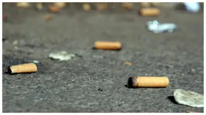 Cum au reușit doi frați să facă avere, adunând chiștoace. Afacerea cu care au devenit bogați