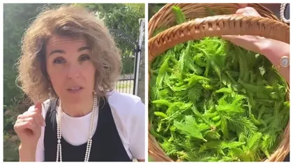 Cristela Georgescu dezvăluie secretul „farmaciei verzi” din grădină. Mugurii de brad, remediul natural care face minuni VIDEO
