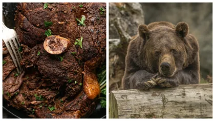 Se legalizează carnea de urs. Reacţie dură a ecologiştilor: „Braconierii vor fi mai puţin îngrijoraţi”