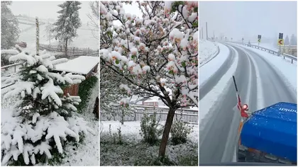 Prognoza meteo 13 mai. Cât mai ține episodul de iarnă în România