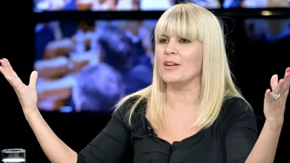 Elena Udrea vrea să i se reducă pedeapsa în arest. Tribunalul a admis cererea fostului ministru al Turismului