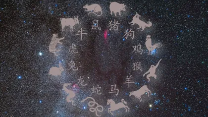 Horoscop chinezesc pentru vineri, 30 mai.  Zodia care întâmplină probleme pe plan profesional