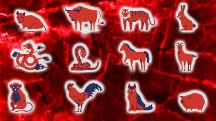 Horoscop chinezesc pentru vineri, 16 mai 2025. Zodiile care au parte de succes pe plan profesional