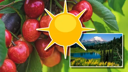 Weekend cu vreme rece, cu ploi şi vânt. La munte va ninge. Când se înclăzește. Prognoza meteo pentru 19 mai – 16 iunie 2025