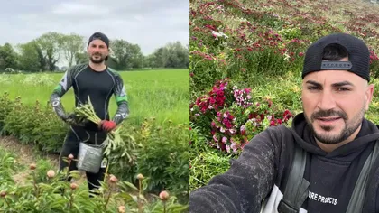 Cât câștigă un român plecat în Anglia la cules de bujori. Suma i-a „amețit” pe internauți: „Dacă agricultura ar fi atât de bine plătită, am lucra cu toții la câmp”