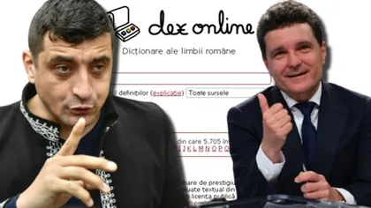 Dexonline, sondaj de susținere pentru Nicușor Dan. AUR a făcut o sesizare, iar Biroul Electoral Sector 5 a decis eliminarea acestuia. Ce văd acum utilizatorii care intră pe site