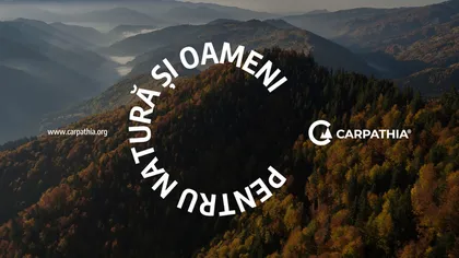 Drept la replică: Fundația Conservation Carpathia NU are nicio implicaţie în problemele de la Praid!