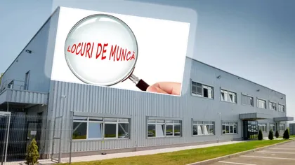 Fabrica din România care își propune să dubleze numărul de angajați. Profitul companiei, în creștere