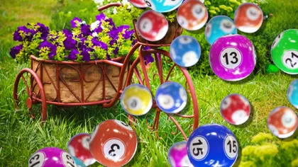 Rezultate loto 15 iunie 2025. Zi cu mare noroc la bani