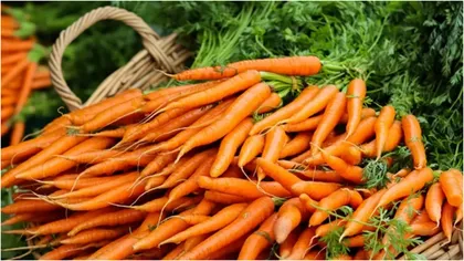 Motivul pentru care nu trebuie să plantezi anumite legume lângă morcovi. Sfaturi pentru o cultură sănătoasă și bogată