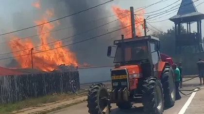 România arde la propriu. VIDEO cu incendiile de vegetaţie care s-au întins pe zeci de hectare