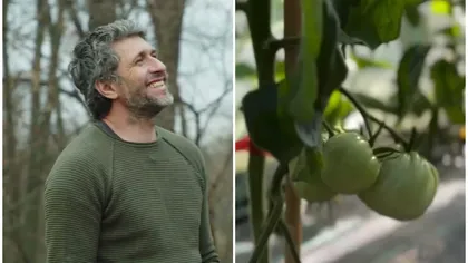 Ce probleme întâmpină Dragoș Bucur cu roșiile plantate în solar: „Trebuie să luăm atitudine. Avem mai multe soiuri”