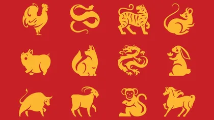 Zodiac chinezesc 13 iulie 2025. Iepurele are parte de momente de liniște, iar Oaia are ghinion pe plan personal