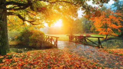 Prognoza meteo pentru perioada 14 septembrie – 12 octombrie. Temperaturi normale şi precipitaţii puține la mijloc de septembrie