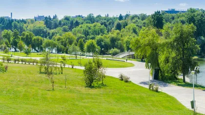 Spațiile verzi și infrastructura sportivă în București. Cum se diferențiază sectoarele Capitalei