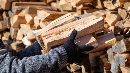 Preţ lemne 2025. Cât costă încălzirea cu o centrală pe lemne în această iarnă, creşteri semnificative faţă de anii trecuţi