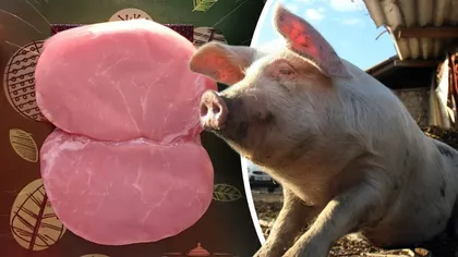 La ce să fii atent când cumperi carne de porc pentru Crăciun. Ce sunt obligați să facă românii care sacrifică porci în gospodărie
