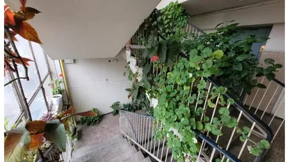 Amendă de 10.000 lei pentru românii care locuiesc la bloc. Ce reguli din Codul Civil trebuie să respecte