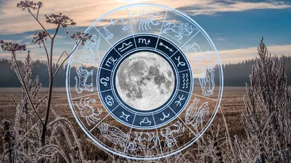 Cele trei zodii care au norocul scris în frunte în noiembrie 2025. Banii curg cascadă, iar până la final de an strâng o mică avere