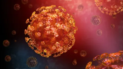 Alertă sanitară în Europa. Un virus mai letal decât COVID a fost confirmat în Franța. Avertismentul OMS: „Unul din trei pacienți moare”