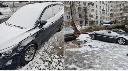 Pagube produse de vremea rea în Capitală. Bucureștenii s-au trezit în prima zi de Crăciun cu zăpadă și mașinile distruse