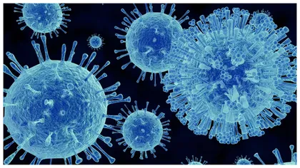 Un virus se răspândește rapid în SUA. Cum se transmite și cum se manifestă Norovirus