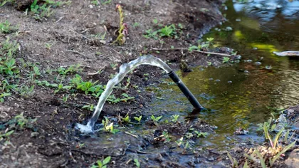 Gestul unor proprietari de case din România pentru care riscă amenzi uriașe