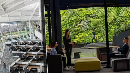 Ce salarii câștigă programatorii și inginerii care lucrează la cea mai valoroasă companie din lume