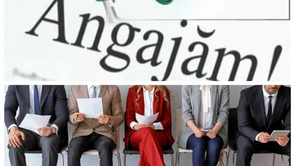 Angajări 2026. Se caută români care să lucreze în străinătate. Sunt sute de locuri disponibile, se caută şoferi, menajere, mecanici şi electricieni