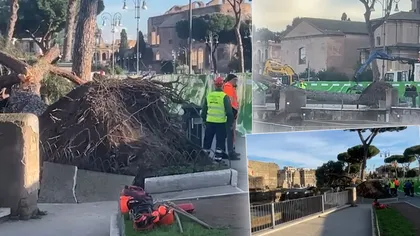 Un bărbat român, rănit după prăbușirea unui copac, în Roma: „A fost aruncat la câțiva metri”