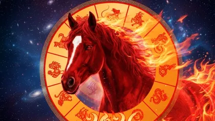 Zodiac chinezesc 19 martie 2026. Ușurează-ți nervii angajându-te în activități care cresc calmul și stabilitatea