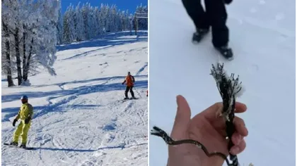 Incident periculos pe pârtie. Cablul unui teleschi s-a rupt, iar 2 copii au fost răniți. Reacția administratorilor