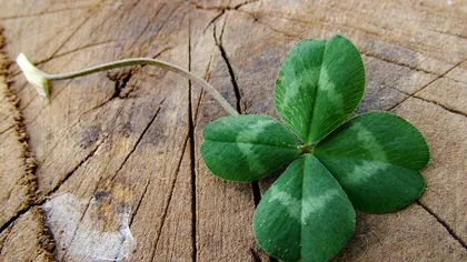 NOROCUL  se activează pentru aceste 5 ZODII din 23 februarie! Ce oportunități le aduce focosul Marte