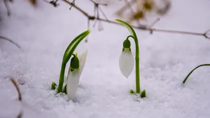 Primăvara este încă departe, ninsorile continuă în România. Un celebru climatolog dezvăluie cum va fi vremea în luna martie