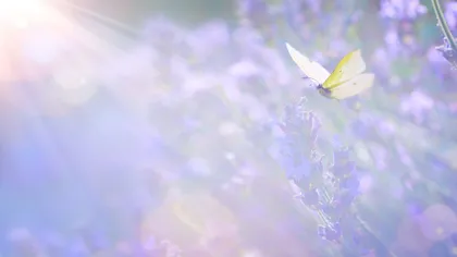 Horoscop aprilie 2026. primăvara vine cu răsturnări subtile, dar decisive. Ce EVENIMENTE astrale ne pot schimba viața în această lună?