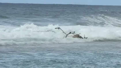 Elicopter prăbuşit, epava a fost adusă de valuri la mal. Trei dintre cei de la bord au murit