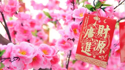 La ce trebuie să fie ATENTE aceste ZODII CHINEZEȘTI ca să intre cu dreptul în luna APRILIE 2026 