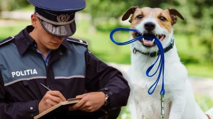 Avertisment pentru stăpânii de câini! Amenzile pentru plimbarea fără lesă sunt usturătoare, dar legea este ignorată. „Nu mușcă”, scuza care îi scoate din minți pe trecători