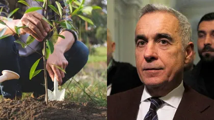 Călin Georgescu îi cheamă pe susținători la plantat de copaci, sâmbătă, 14 martie, la ora 12.00: „Declar ziua aceasta Ziua Sădirii Arborelui. Chem tot poporul român, de la mic la mare, să sădească un puiet de arbore sau un pom fructifer”