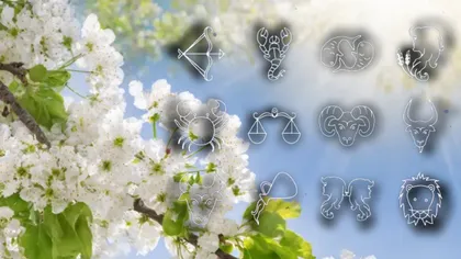 Top 3 zodii care își apără familia cu orice preț. Sunt gardienii nevăzuți ai horoscopului